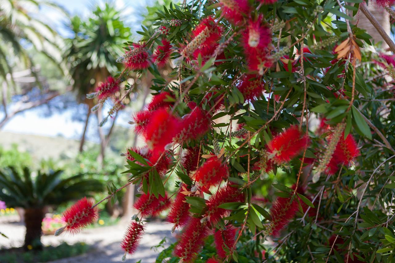 פונטבלנדה Villa Bengodi מראה חיצוני תמונה